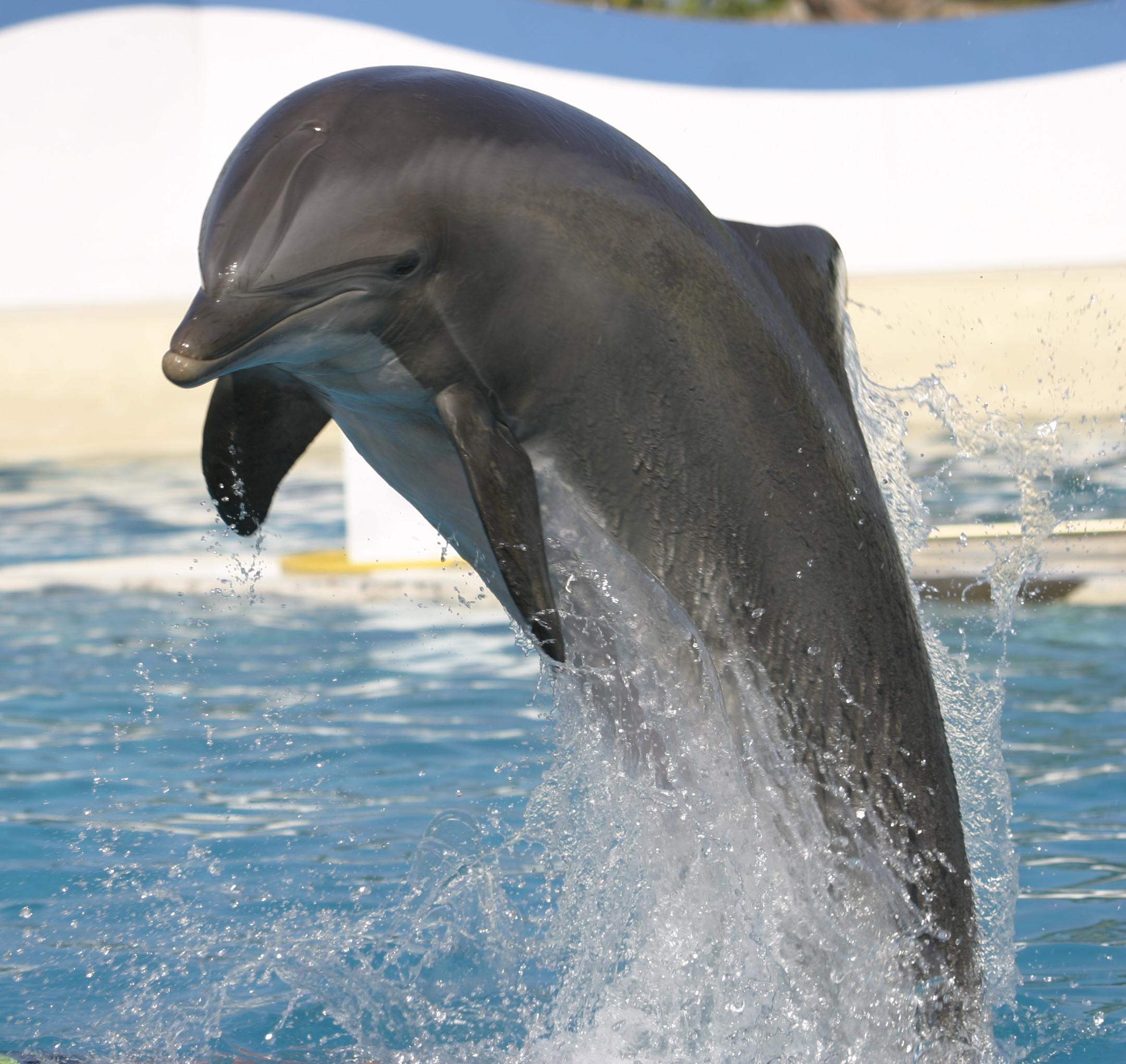 Marineland Resort Antibes Exterior photo